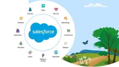 salesforce certified consultant