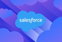 Salesforce partner