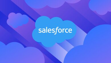 Salesforce partner